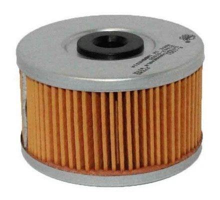 Fuel Filter (F-1001)