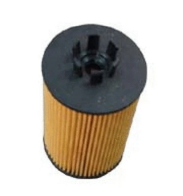 Oil Filter (EO-6504)