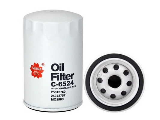 Oil Filter (C-6524)