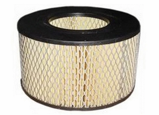 Air Filter (FA-6209)