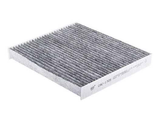 Filter, cabin air (CAC-1705)
