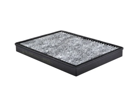 Filter, cabin air (CAC-65180)