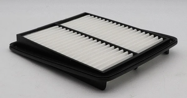 Air Filter (FA-14650)
