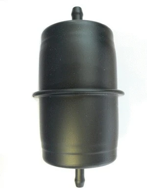 Fuel Filter (FS-2002)