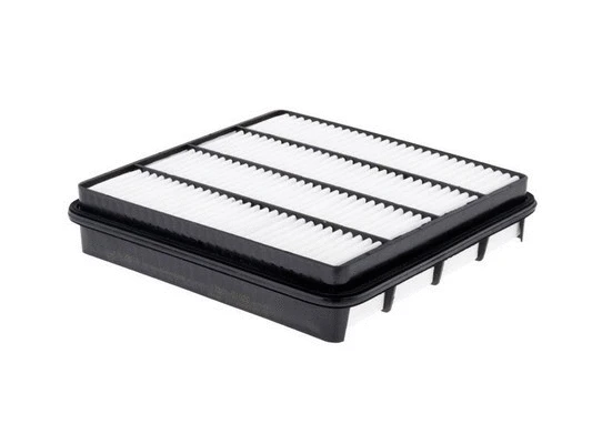 Air Filter (FA-33810)
