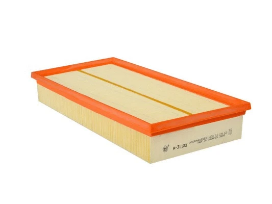 Air Filter (FA-31100)