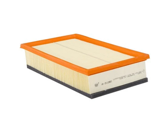 Air Filter (FA-31080)