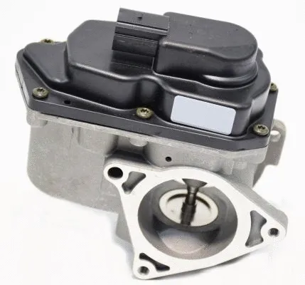 EGR Valve (7.03.151.501G)