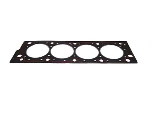 Gasket, cylinder head (702.09E1)