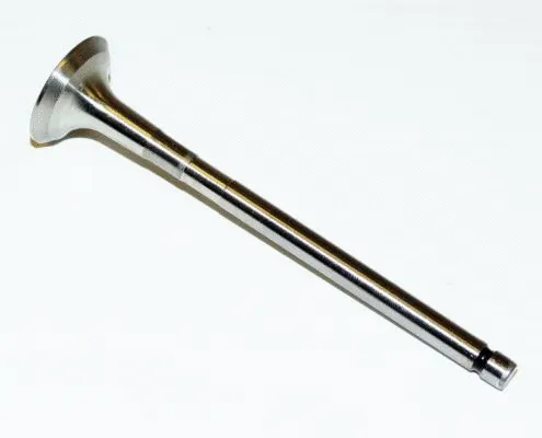 Exhaust Valve (709.49C5)