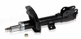 Shock Absorber (752.PE010)
