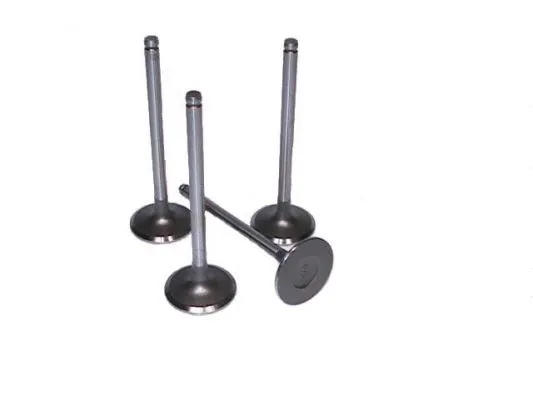 Intake Valve (709.4858A)