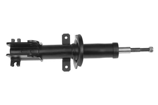 Shock Absorber (752.RE113)