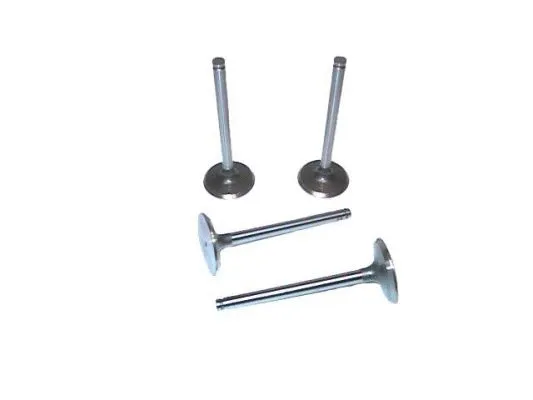 Intake Valve (709.4856A)