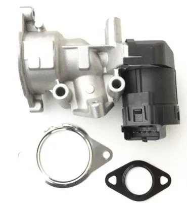 EGR Valve (716.18GZ)