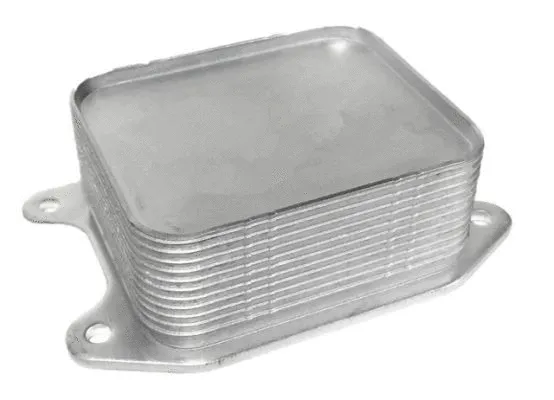 Oil Cooler, engine oil (711.VW006)