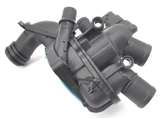 Thermostat, coolant (713.36CC)