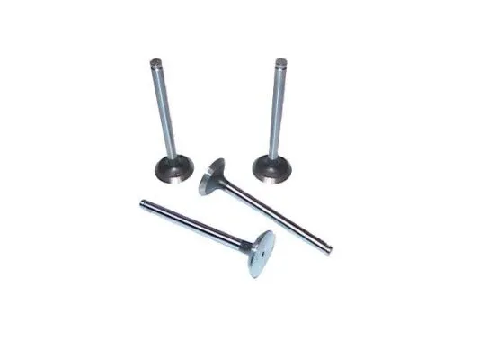 Exhaust Valve (709.4957A)