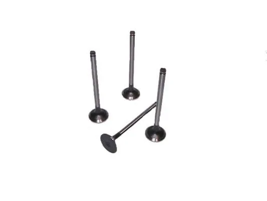 Exhaust Valve (709.4959A)