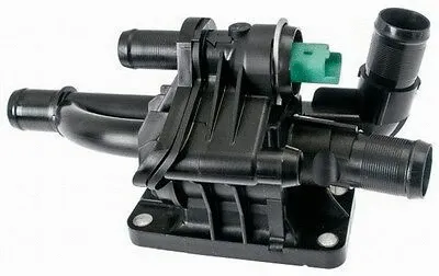 Thermostat, coolant (713.36AF)