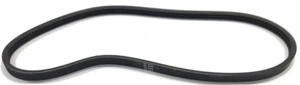 V-Ribbed Belt (4PK800)