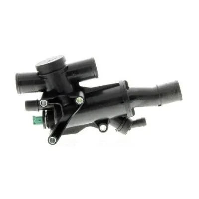 Thermostat, coolant (713.36Y9)
