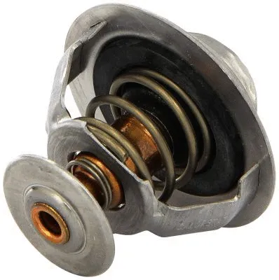 Thermostat, coolant (713.3823N)