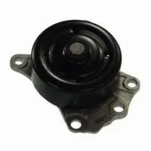 Water Pump, engine cooling (712.01J0)