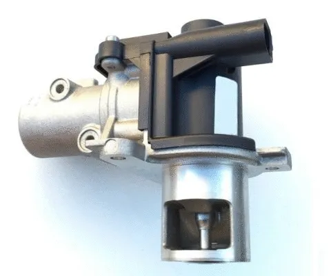 EGR Valve (7.82.561.269)