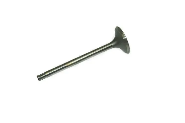 Intake Valve (709.48C8)