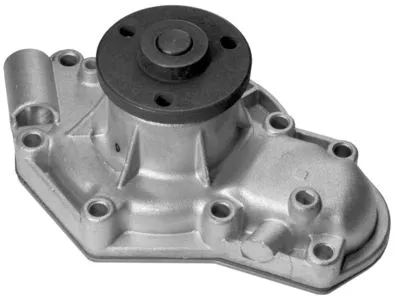 Water Pump, engine cooling (7.01.466.571)