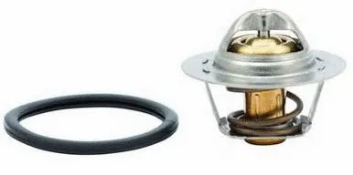 Thermostat, coolant (7.00.872.554)