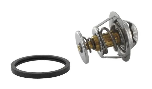 Thermostat, coolant (713.3821N)