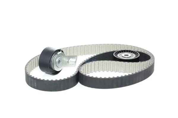 Timing Belt Kit (708.31W2)