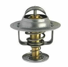Thermostat, coolant (7.00.868.274)