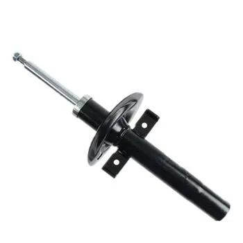 Shock Absorber (752.RE105)