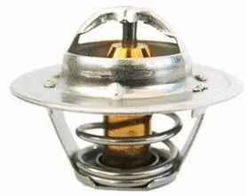 Thermostat, coolant (713.3844N)