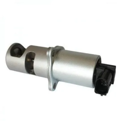 EGR Valve (7.00.107.797)