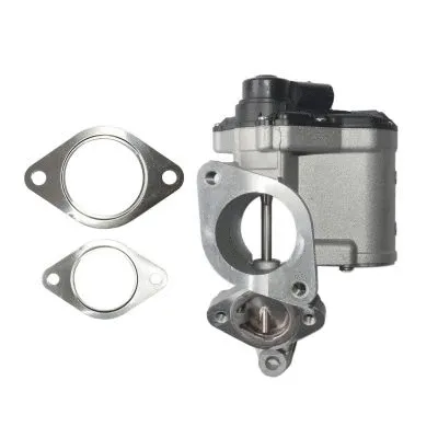 EGR Valve (7.01.062.356)