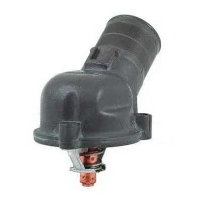 Thermostat, coolant (713.36F9N)