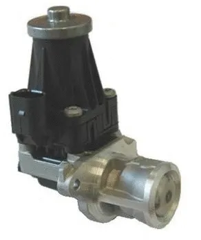 EGR Valve (716.18QR)