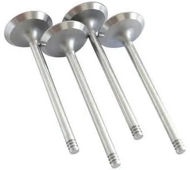 Intake Valve (7.01.476.573)