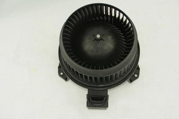 Interior Blower (ZD172225)