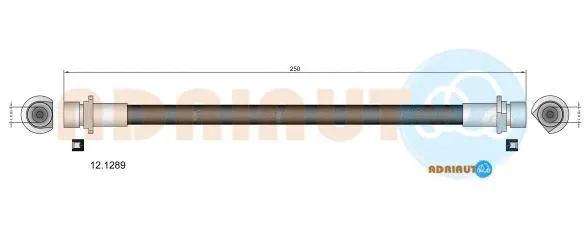 Brake Hose (12.1289)