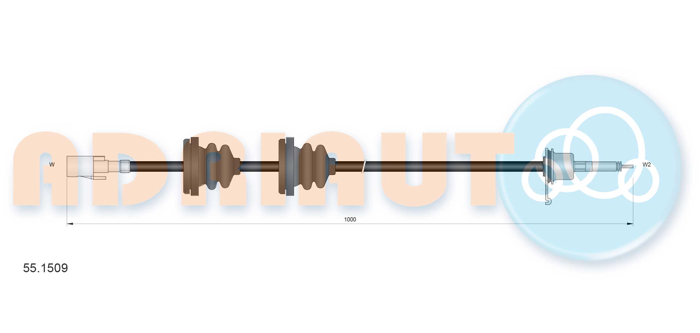 Speedometer Cable (55.1509)