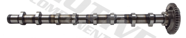 Camshaft (T2127)