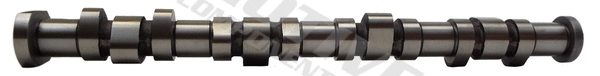 Camshaft (T2129)