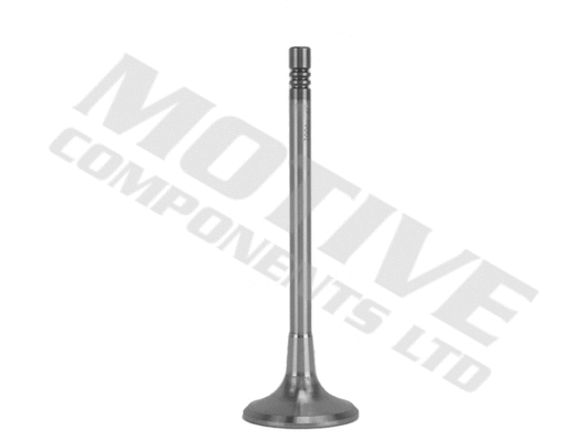 Intake Valve (IV10002)