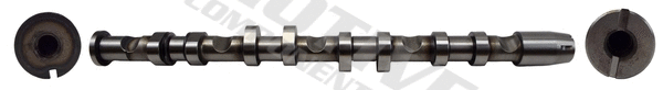 Camshaft (T2190)