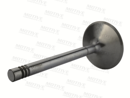Exhaust Valve